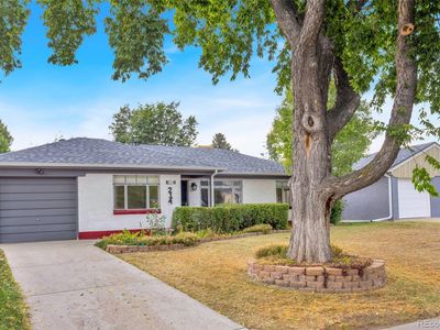 214 Newport Street, Denver, CO, 80220