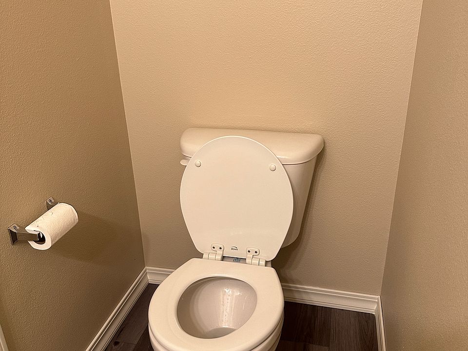 Toilet area in downstairs Bathroom