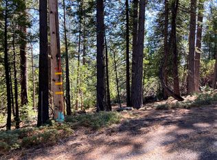 26584 Spring Rd, Pioneer, CA 95666