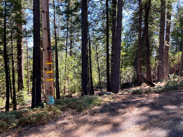 26584 Spring Rd, Pioneer, CA 95666