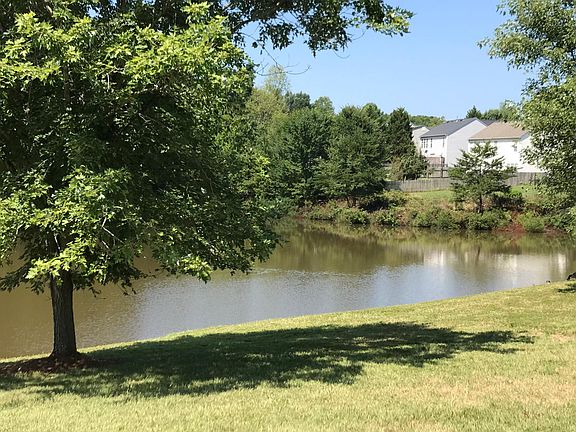 View from back patio