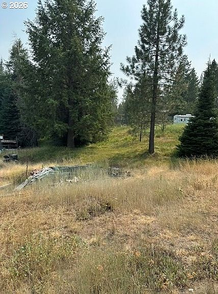 1st image of Kamela Loop