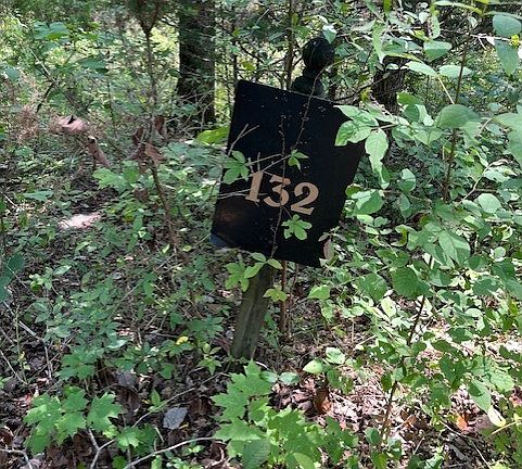 2nd image of 0 Maury Ln Lot 132