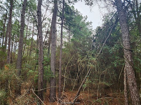 5th image of LOT 10 Honeylocust Ln