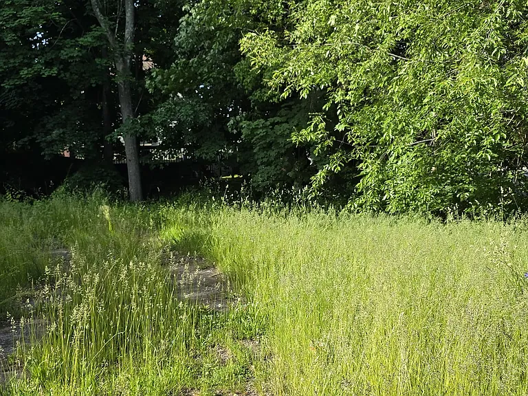 90 Pond St #90 — Photo 13