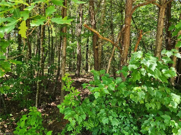 LOT 1 Patchwork Dr Lot 1, Statesville, NC 28677