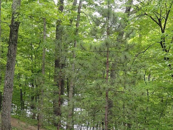 2nd image of 9437 S Pointe Lasalles Dr #56