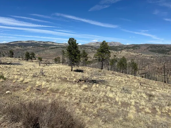 LOT 184 Forbes Rd, Fort Garland, CO 81133