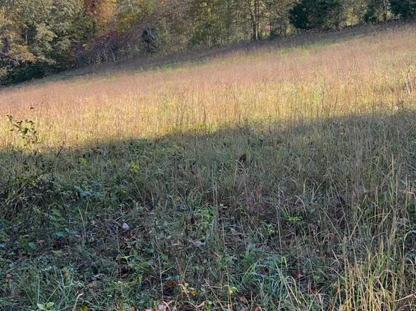 0 Cotton Hollow Rd, Red Boiling Springs, TN 37150