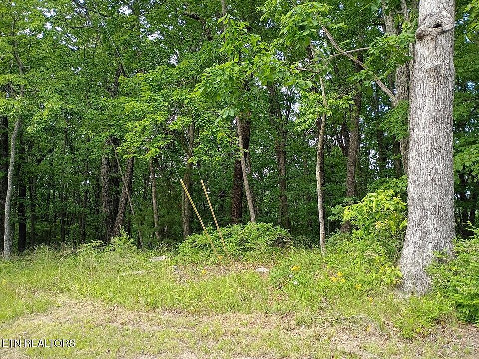 1st image of 108 Pineridge Loop