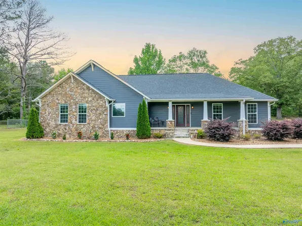 4198 Pilgrims Rest Rd, Southside, AL 35907