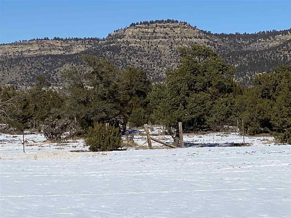 2nd image of Lambert Hills Blvd
