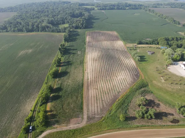 Xx161 161st Ave, Spicer, MN 56288