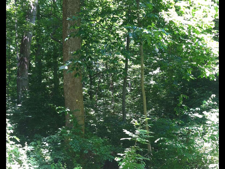 1st image of 4410 Woodview Ln