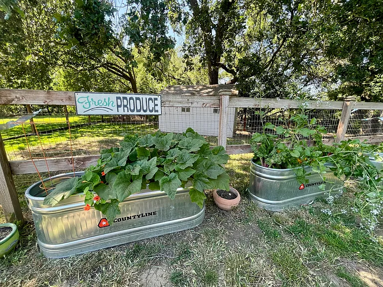 11630 Foothill Ave — Photo 7