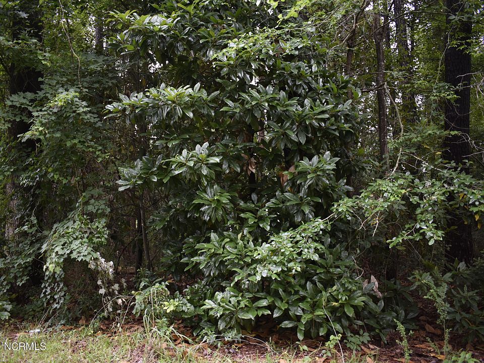 2nd image of Lot 42 N Graham Street