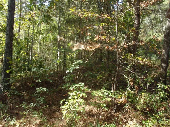 090ACR E County Road 409 #656, Double Springs, AL 35553