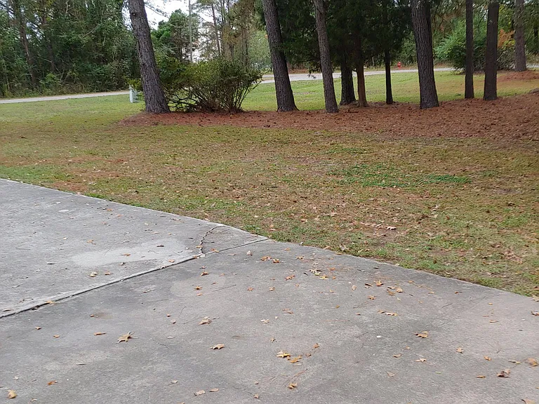 105 Jenny Lisa Ln — Photo 30