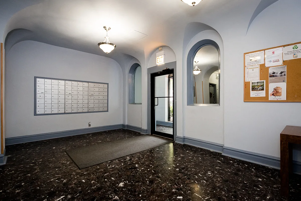 Ivy Dorchester — Photo 2