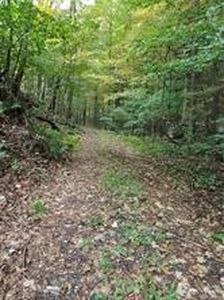 235 Mt. Zion Road, Marlboro, NY, 12542