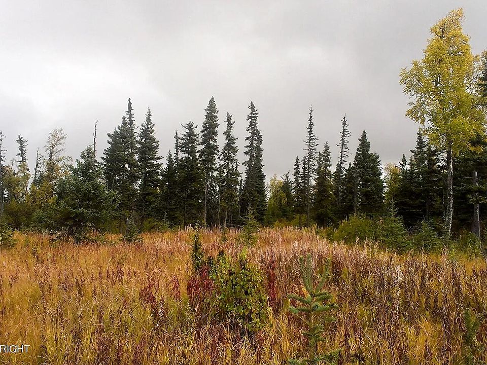 2nd image of D34 Alaskan Wildwood Rnch