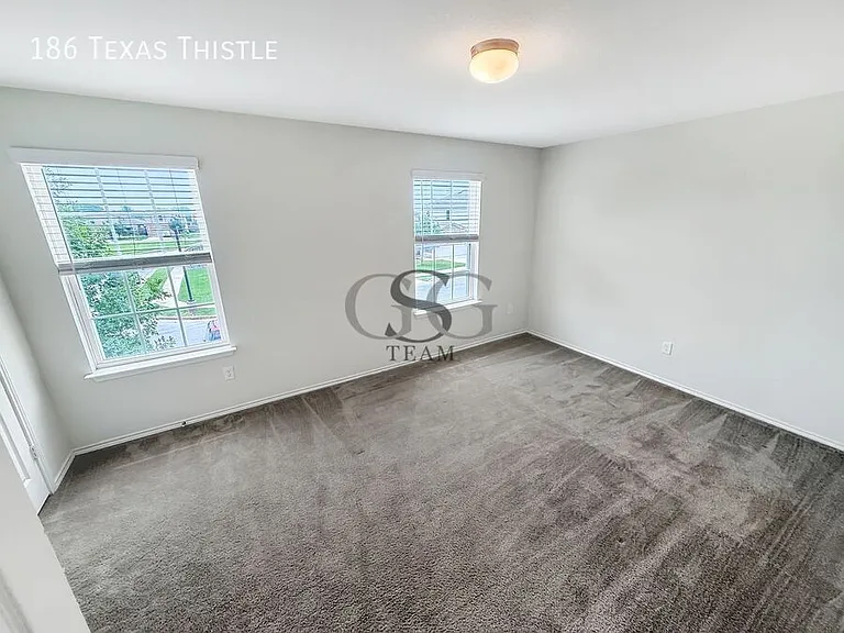 186 Texas Thistle — Photo 33