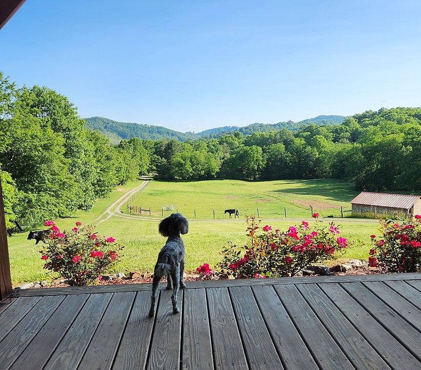 (Undisclosed Address), Mouth Of Wilson, VA 24363 MLS 87222 Zillow