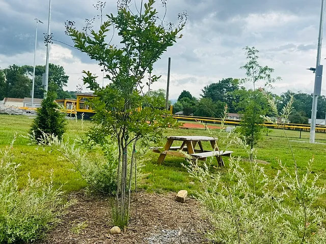 20 Leap Frog Park — Photo 35