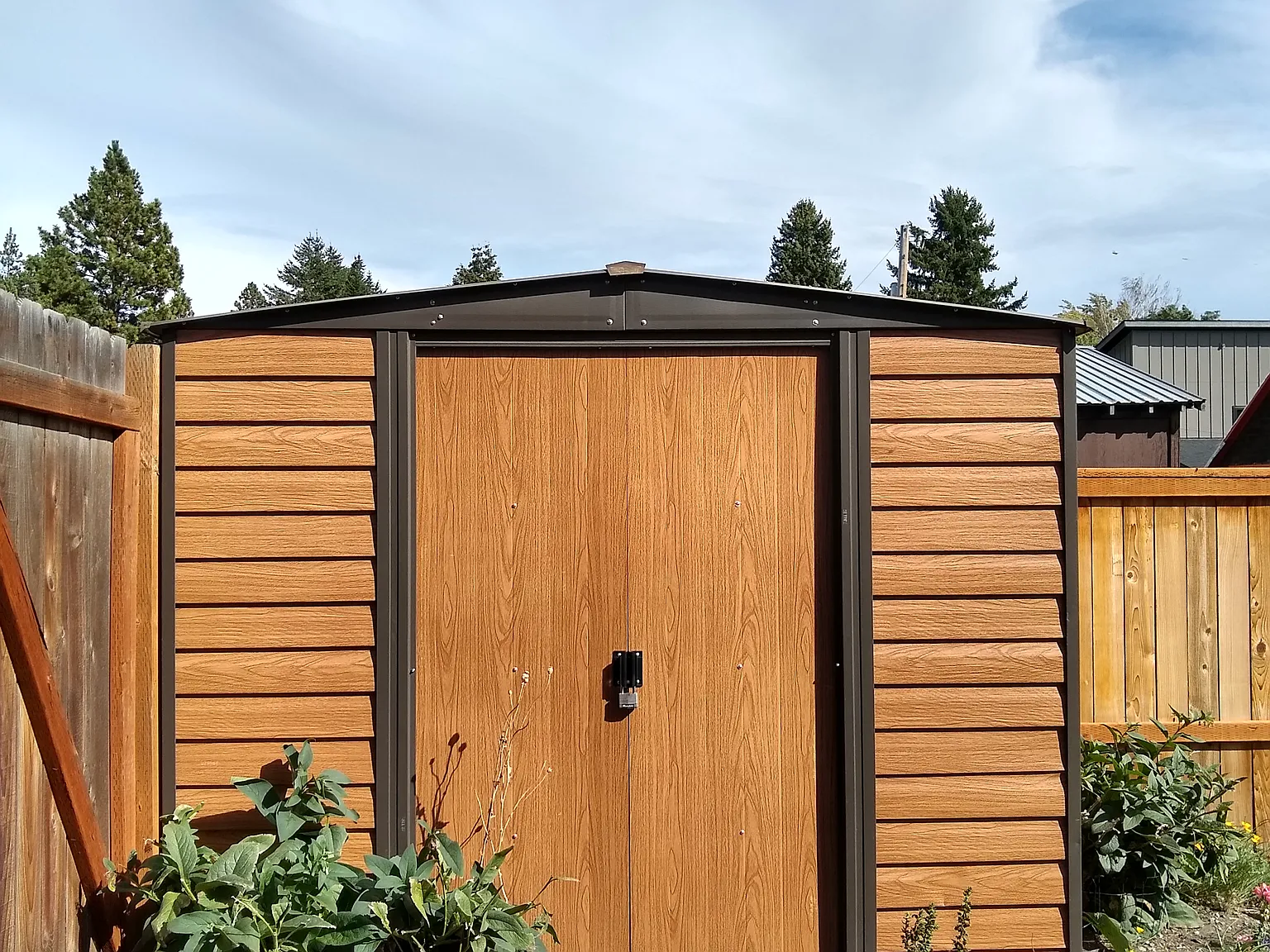 1 bed, 480 sqft, $1,000 — Photo 3