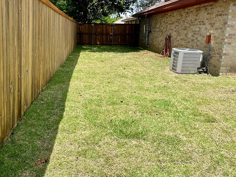 Back Yard
side yard view