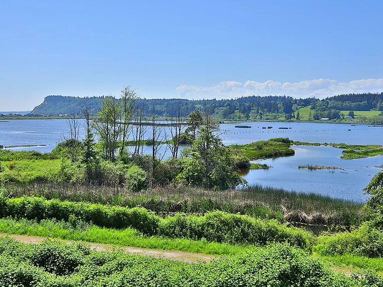 Deer Lagoon