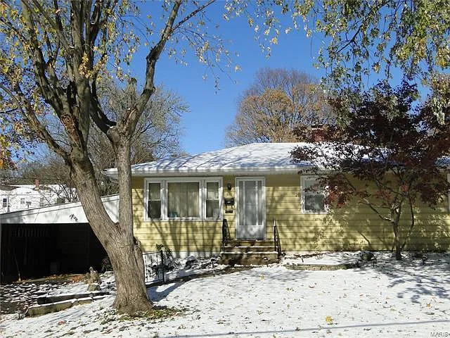 317 Garesche St photo 1