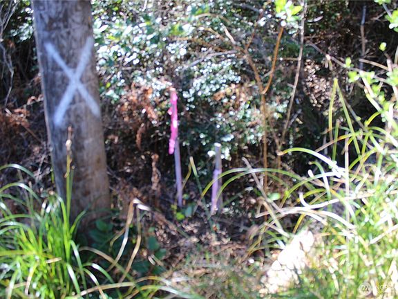 5th image of 39 Dolphin Ln.