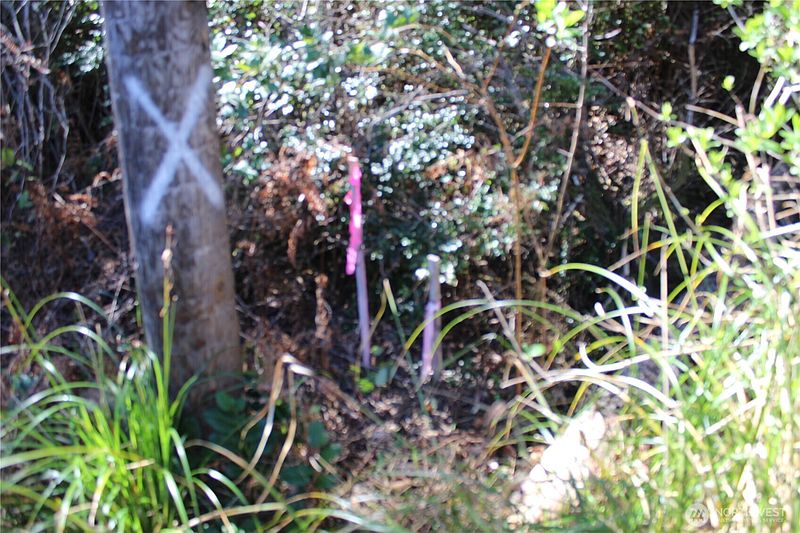 5th image of 39 Dolphin Ln.
