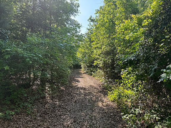 Trail 2
