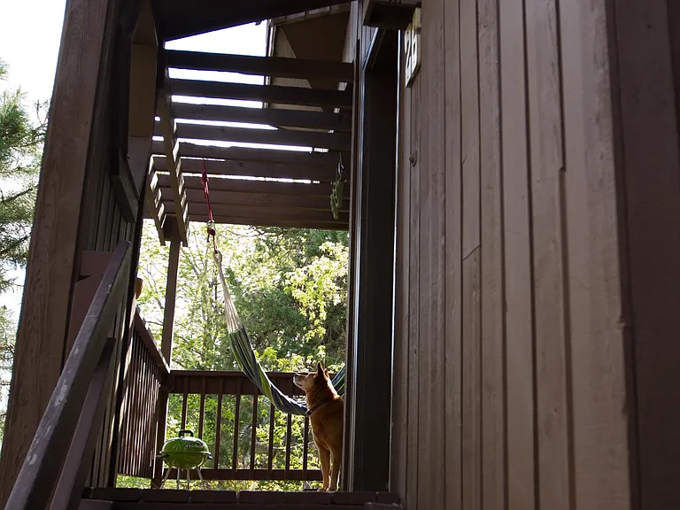 Stairs to front deck