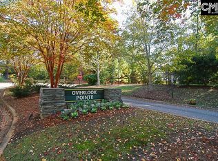 100 Pointe Overlook Dr, Chapin, SC 29036