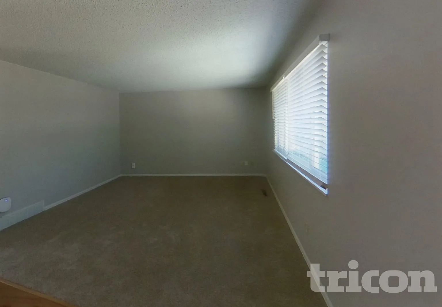 3165 Teardrop Circle Colorado Springs CO — Photo 3