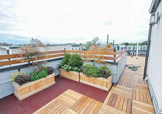 Rented by Evergreen Apartments BK | media 81