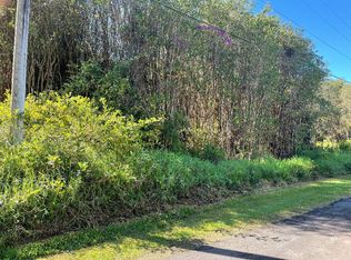 Road 4 LOT 206, Volcano, HI 96785