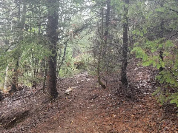 LOT 8 N Bryce Woodland Dr, Alton, UT 84710