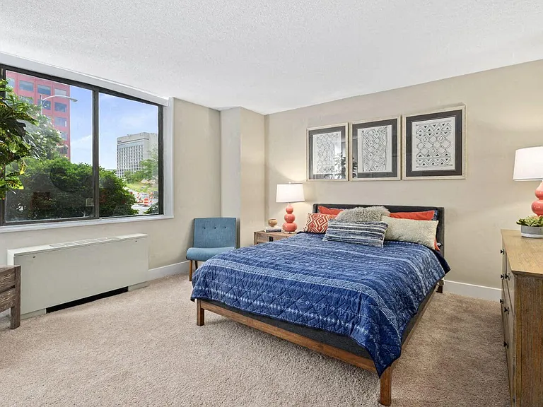 Large Bedrooms with Plush Carpet
