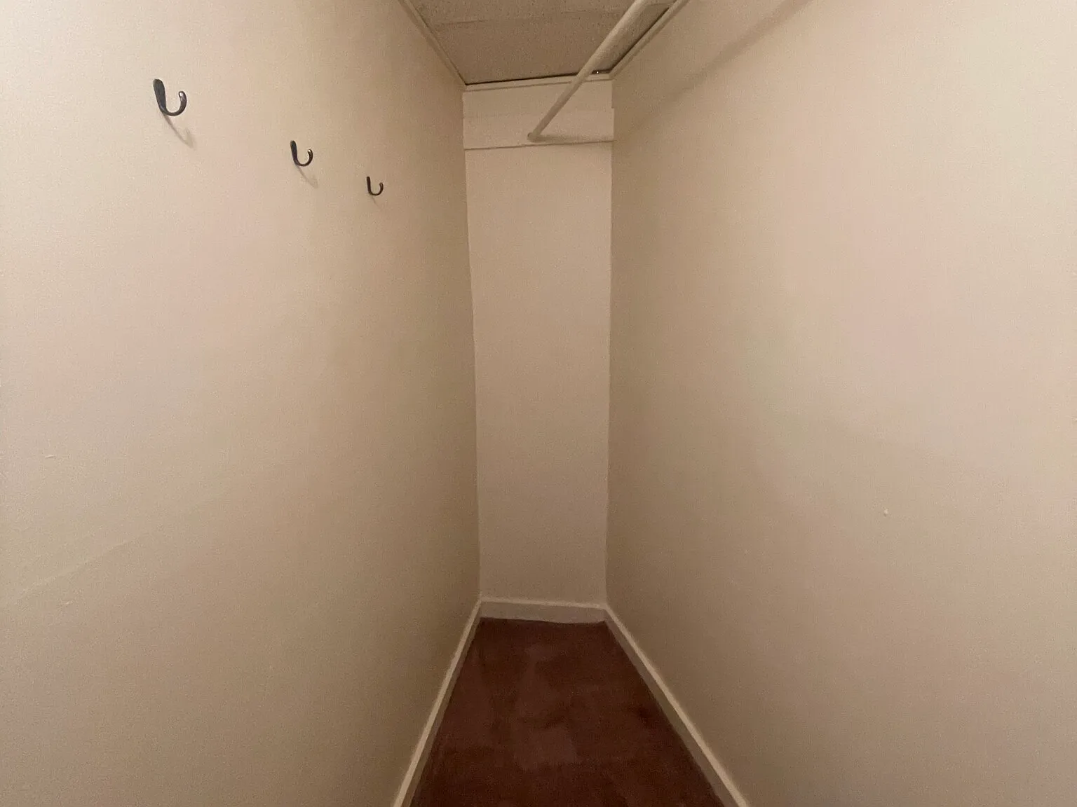 2 bed, 1.0 bath, $2,900 — Photo 2