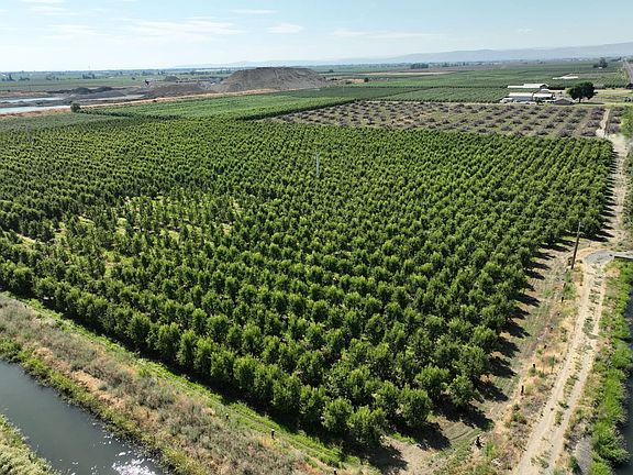18431_Yakima-County-Washington-Orchard-56-Acres (3)
