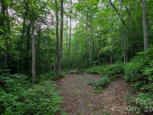 28 Big Hill Rd, Brevard, NC 28712