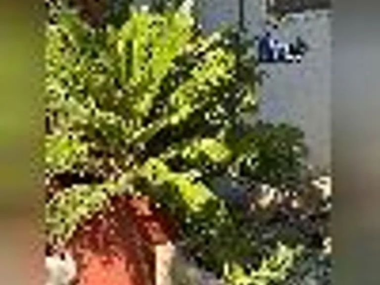 920 Castlewood Dr — Photo 6