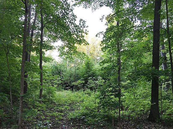 4th image of 0 N Park Pl W