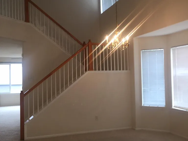923 Grays Peak Dr — Photo 14