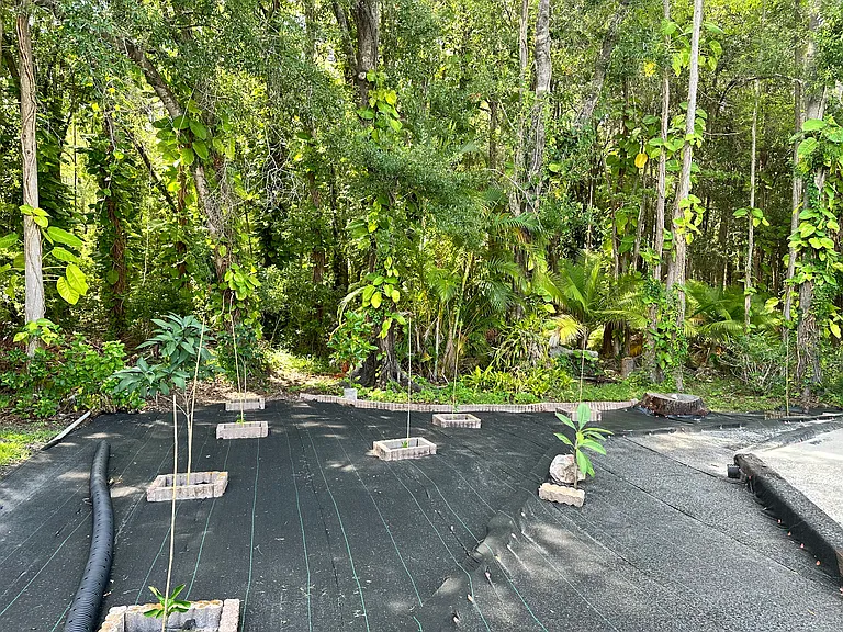 6503 Broadwing Ct — Photo 13