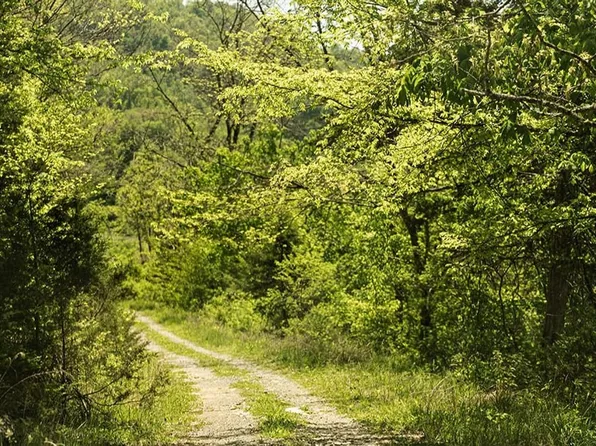 Alanthus Hill Rd, Tazewell, TN 37879